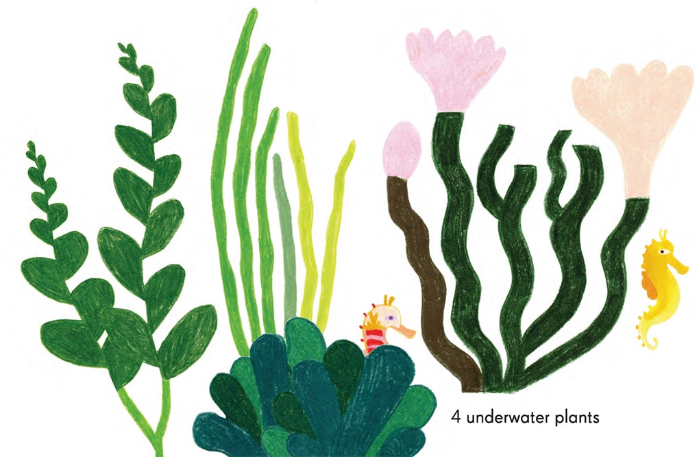 Colorful board book featuring ocean-themed illustrations by Kat Macleod, with sea creatures like seahorses and jellyfish, designed to teach counting in a fun and engaging way - Pictured is inner pages - 4 underwater plants.