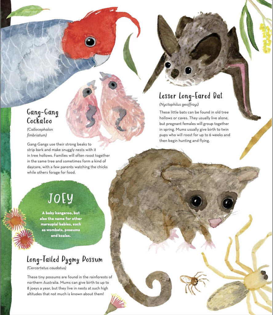 Australias Baby Animals by Jess Rackyleft Inside Page Tree Babies