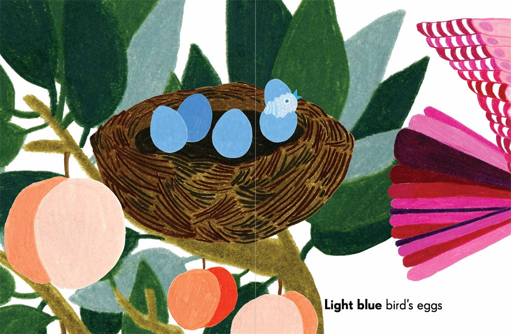 Vibrant board book by Kat Macleod exploring colors through a garden adventure with bugs, leaves, and blooms. Durable and engaging for little hands, perfect for ages 0+.