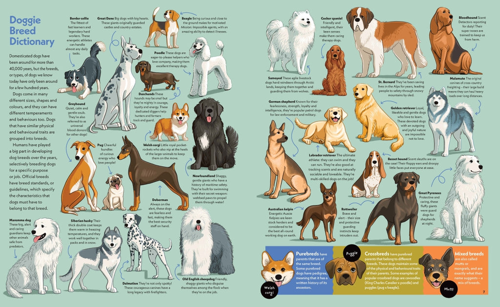 Illustration of various dog breeds with descriptive text on a light blue background