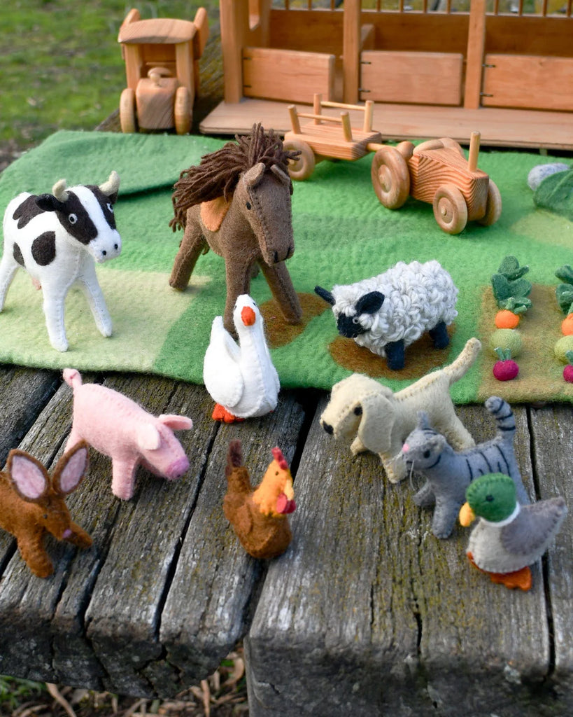 Group of handcrafted felt farm animal toys, including a grey cat, arranged on a green play mat for outdoor small world storytelling and pretend play.