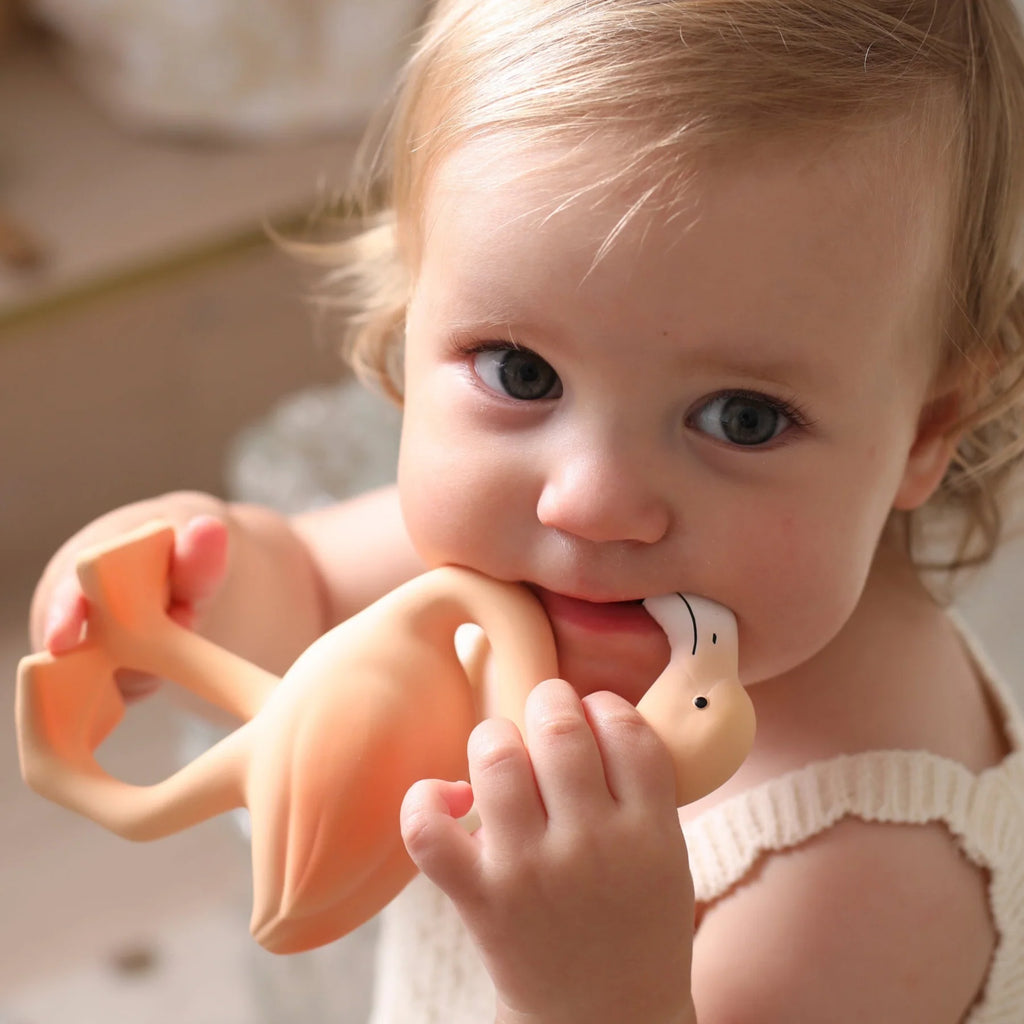 Child holding and chewing on a toy with a blurred background