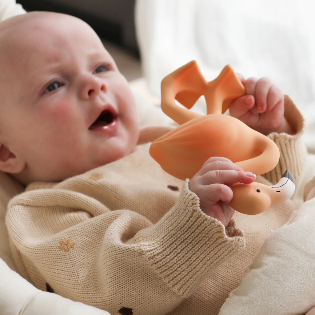 Baby holding a toy with a blurred background