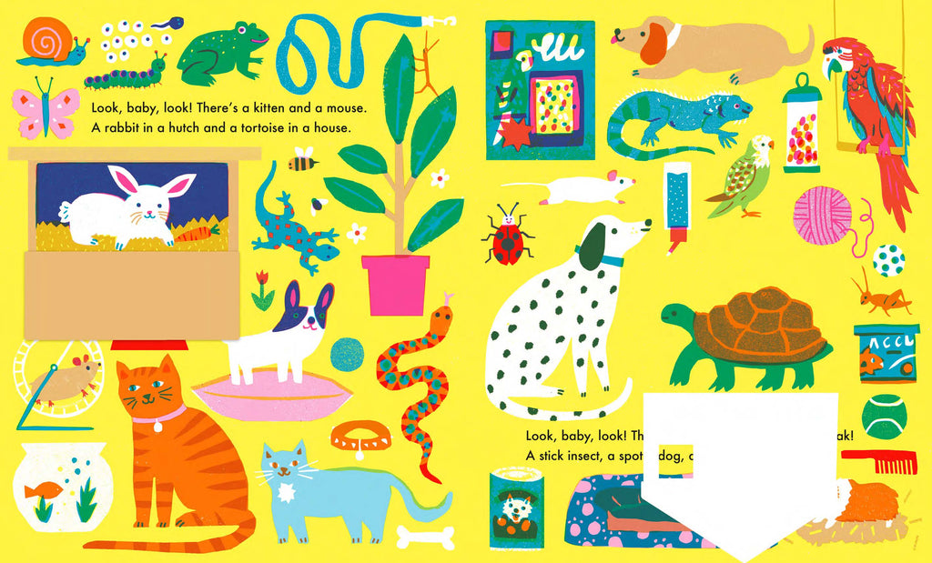 Look Baby Look at Home (Board Book Inside Pages Animals) by Louise Lockhart 