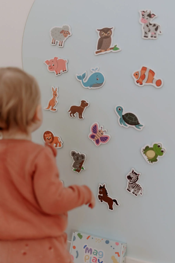 Child playing with the MagPlay Animal Magnet Kit, arranging colourful animal magnets on a magplay decal for interactive learning and play.