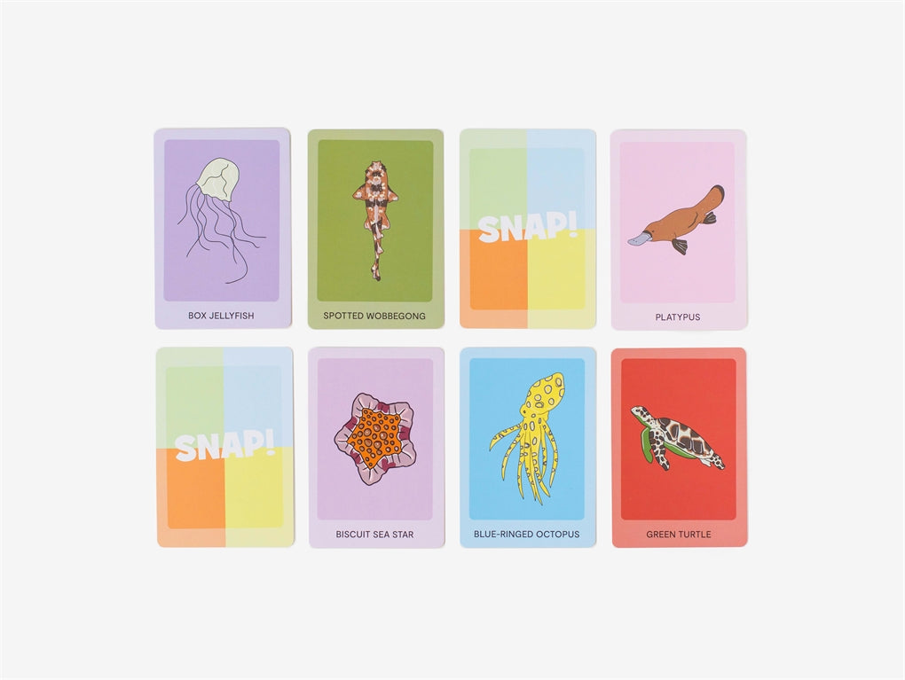 Splish, Splash, SNAP! card game featuring 13 native Australian aquatic animals, including the platypus, spotted wobbegong, and weedy seadragon, with vibrant designs and large cards perfect for children.
