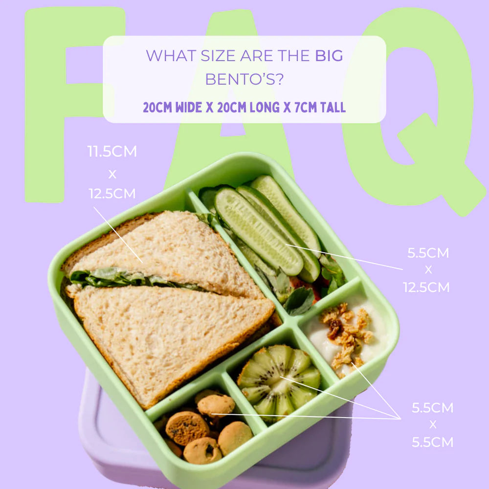 Big Bento Lunchbox  Size Guide with sandwich and snacks styled on colourful flatlay—The Zero Waste People’s eco-conscious food container for bigger meals.