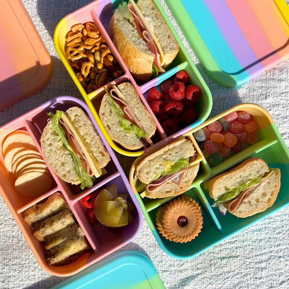 Top view of three Splice Midi Munchboxes packed with sandwiches, fruit, and crackers—vibrant eco-friendly lunch solutions.
