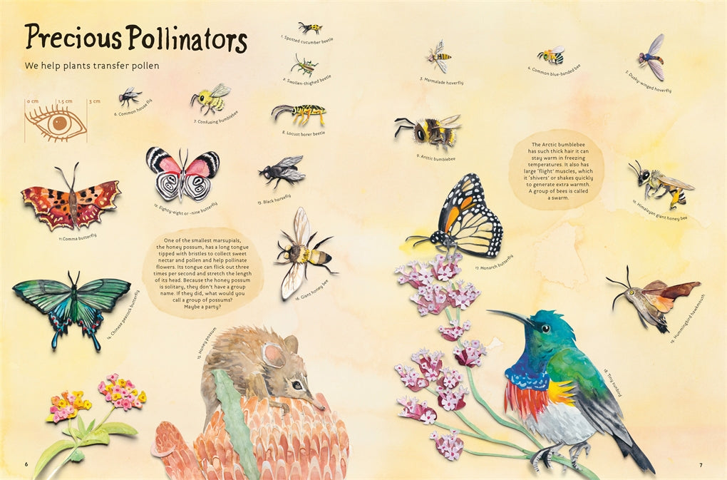 Animal Childrens Hardcover Book