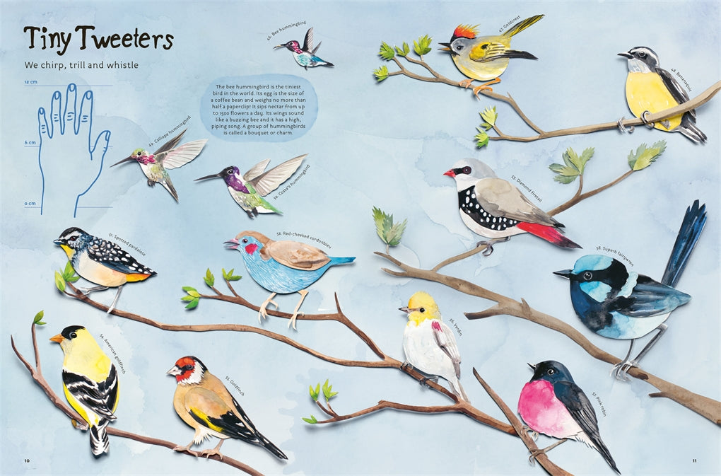 Animal Childrens Hardcover Book