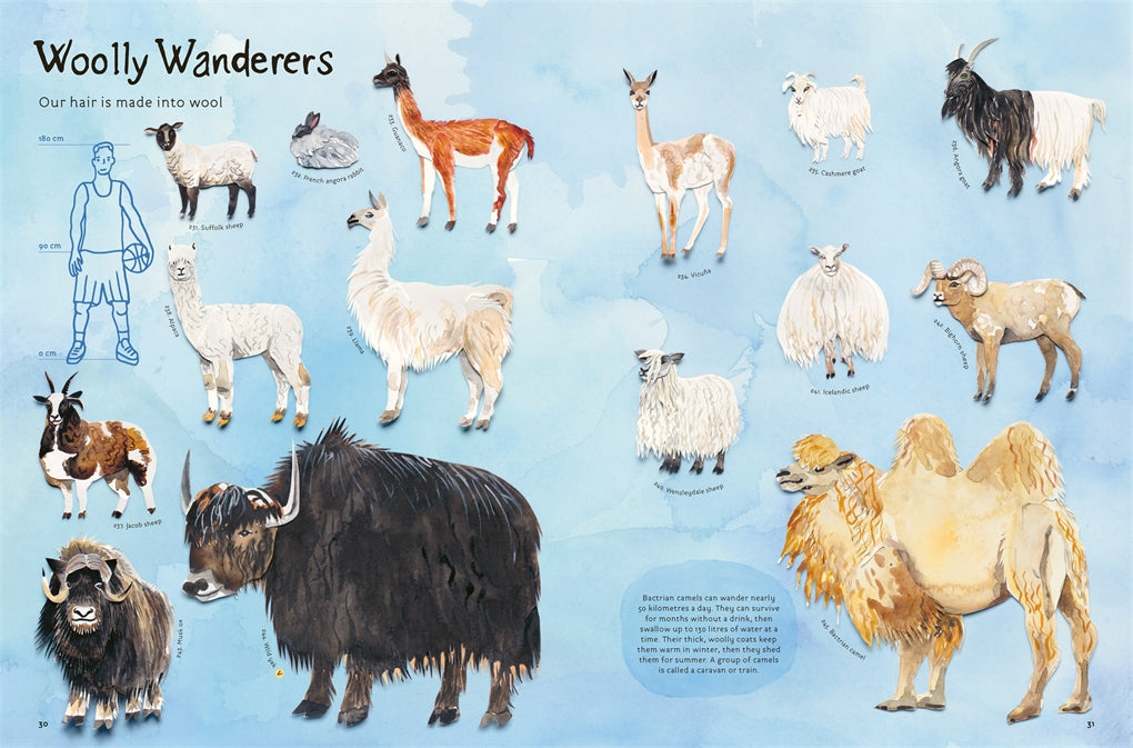 Animal Childrens Hardcover Books